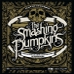 pumpkins2